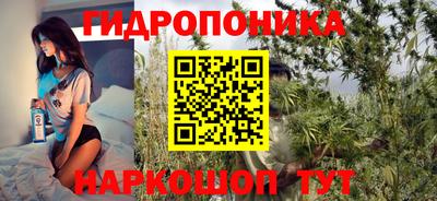 гидра Рыбинск