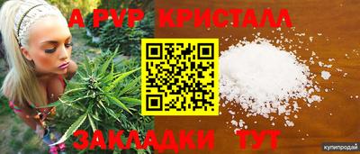 гидра Рыбинск
